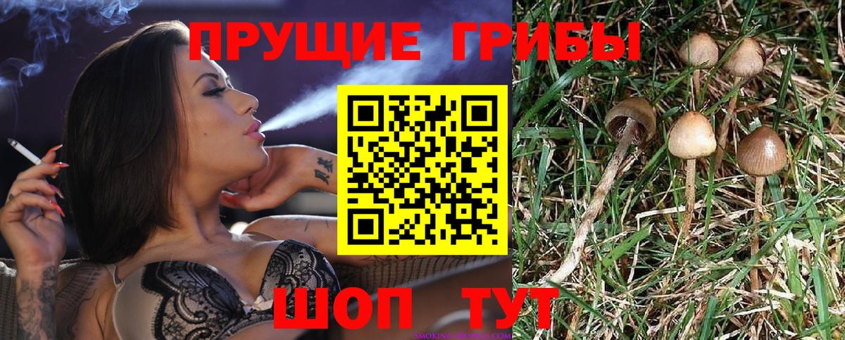 Нягань  Псилоцибиновые грибы мицелий  Вход с VPN 